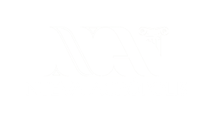 Logo Nueva Acrópolis Alicante