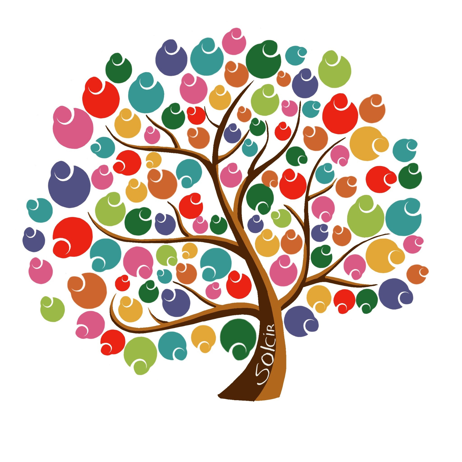 Logo solcir